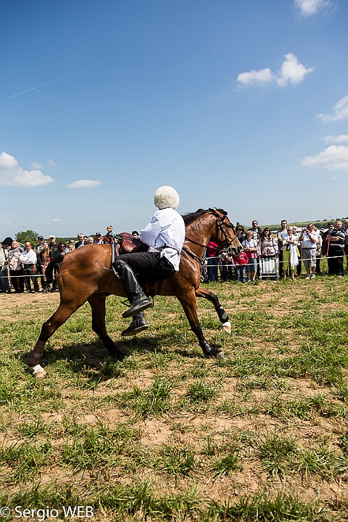 1814_2014_bataille_de_france_montmirail-14-005