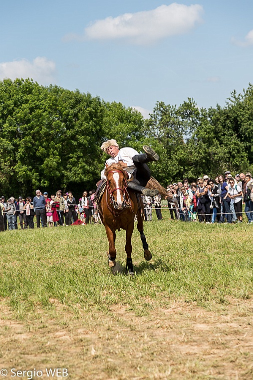 1814_2014_bataille_de_france_montmirail-14-008