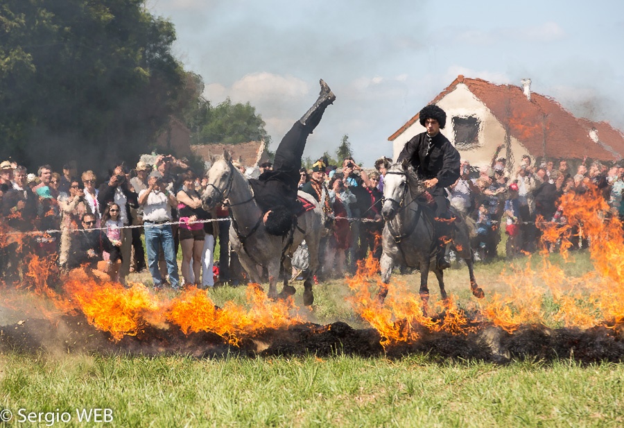 1814_2014_bataille_de_france_montmirail-14-013