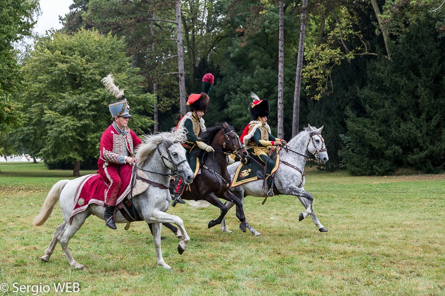 malmaison_jubile_napoleon-14-017